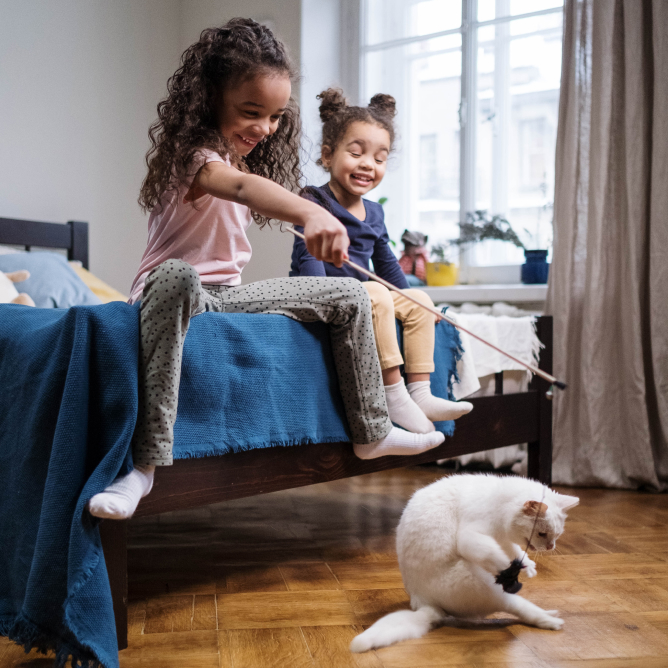 Kids Playing with White Cat