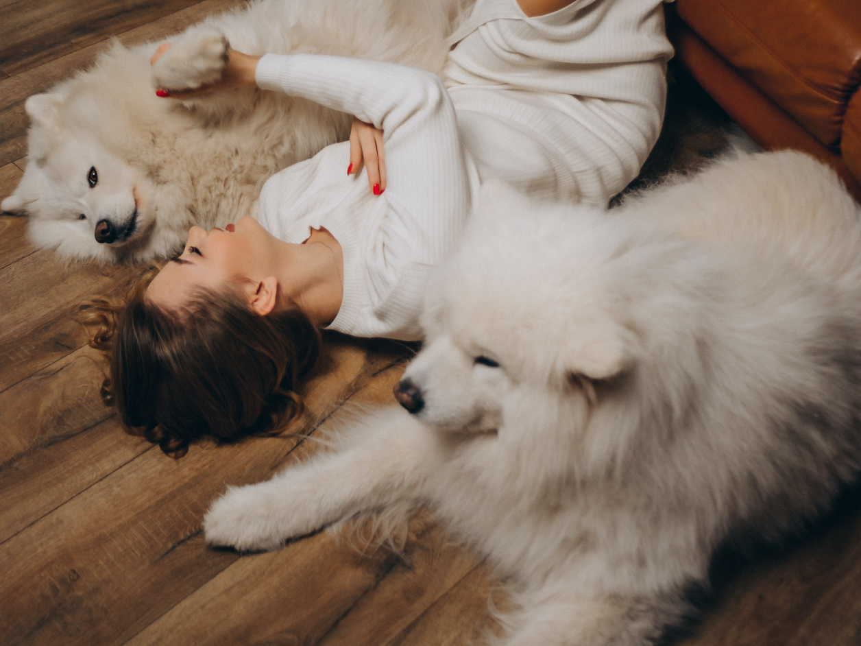 Girl Lying Down on Floor with Dogs