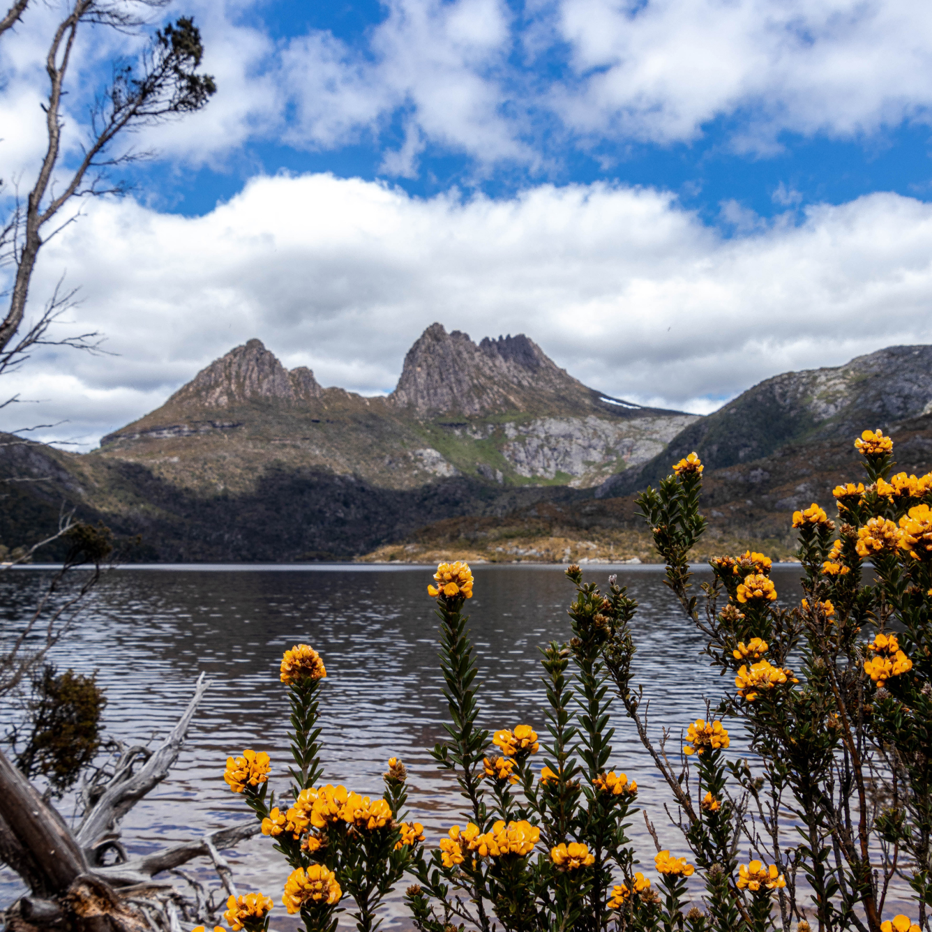 Landscape photo of Cradle Mountain, Tasmania