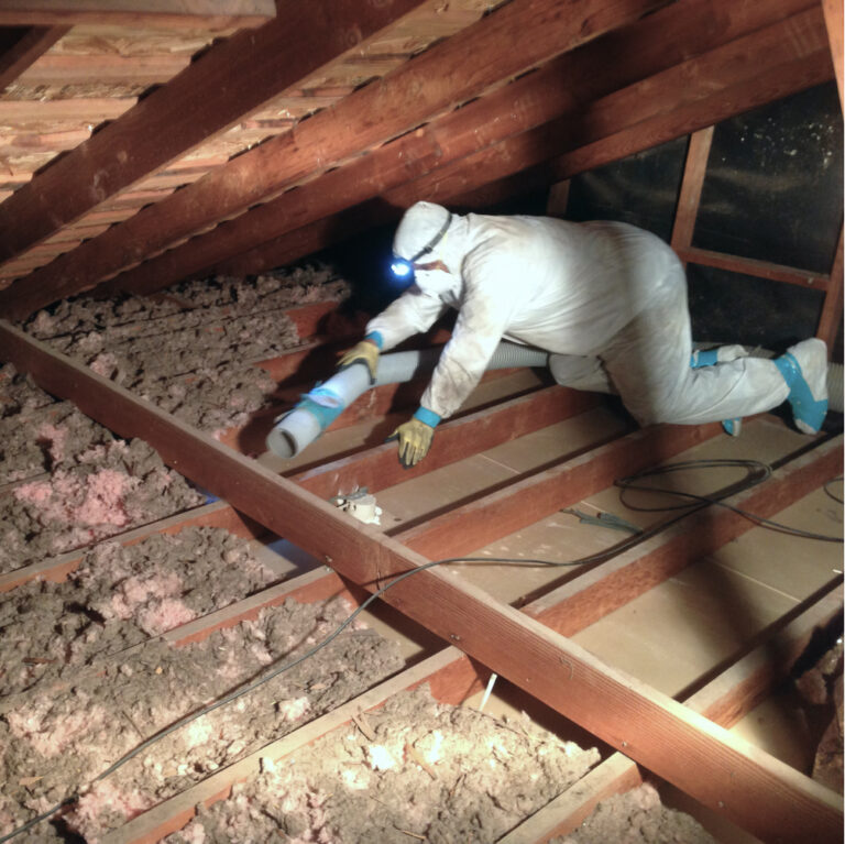 Insulation Removal Servicing Tasmania Wide